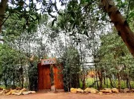iBiZa Hostel