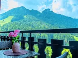 Happy Guest Apartments - Pink Mountain Presolana