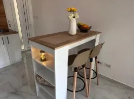 Apartman Emili Kotor-Ljesevici