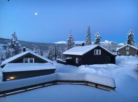 Modern cabin, great view, sunny, 2BA, 4BR, cabin in Hemsedal