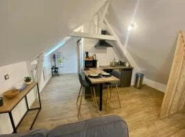 Chaleureux studio hyper centre