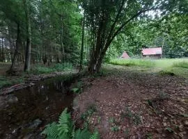 Off-Grid Cottage near river and forest!