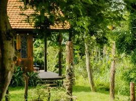 Dancasa Horse Farm & Homestay