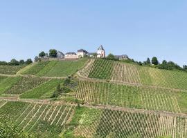 Burgblick Pünderich