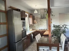 Apartament ZIELONY TARAS