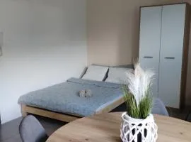 Apartament Prosta 11 Your Holiday Apartment on Wolin Island