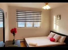 Montreal One-Bedroom Apartment Number1 with shared-bathroom and shared kitchen