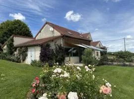 Gîte avec piscine et roseraie près de Vichy - FR-1-489-545