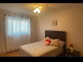 Montreal One-Bedroom Apartment Number3 with shared-bathroom and shared kitchen