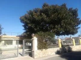 Ca Didi