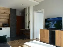 Apartment Sosnowiec City - Free Parking - easy check-in