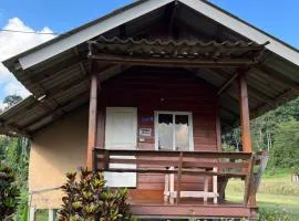 Angha forest view บ้านริมไผ่