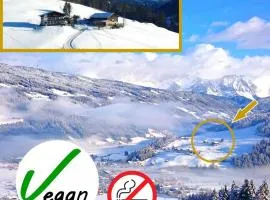 Sauschneidhof - Radstadt