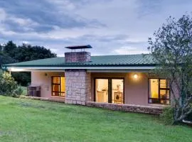 Drakensberg Vultures View