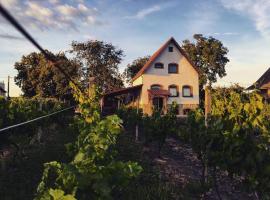 Ubytování ve vinném sklepě - Velké Bílovice, hotel ve Velkých Bílovicích