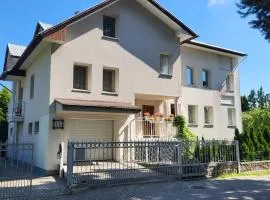 Vila Saulute