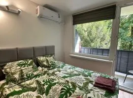 Apartament 221 przy Niedźwiadku
