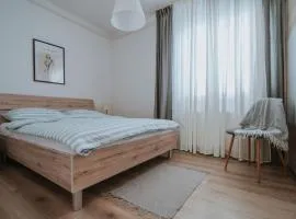 Apartman III u centru Kutine
