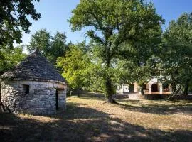 Apartman Jala