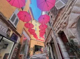 1BR in Historic Center of Grasse - BENAKEY