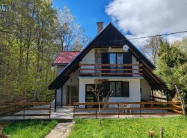 Vlasinsko jezero vila BiLiV, hotel v destinaci Surdulica