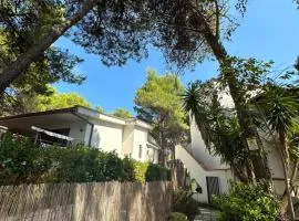 La Conchiglia