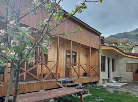 Family Hostel Nika, hostel in Stepantsminda