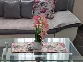 Apartmani grahovo