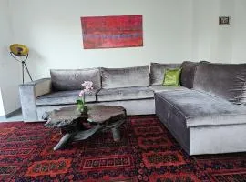 Moderne Doppelhaushälfte in Oppenheim