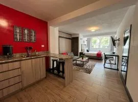 DST1 Convenient studio in zone 15