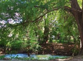 Finca EL CHACHALACO, hotel a Agua Buena