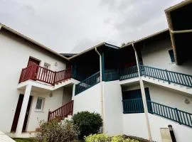 Appartement T2 avec piscine, proche thermes, terrasse, parking, petit animal OK, Cambo-les-Bains - FR-1-495-142