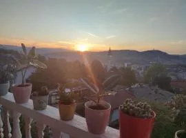 Apartman Adin