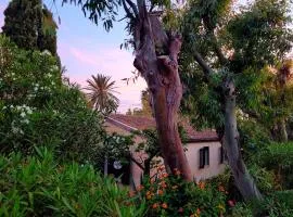 La Perla di Sicilia