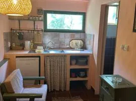 Guest house Pikec