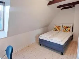 Large Double Room In The Center Of City
