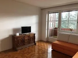 Ferienwohnung in Nöchling
