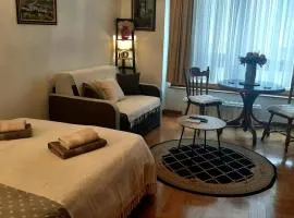 Modern Lux Studio w Inside parking 5 min from Skadarlija, Republic Sqre