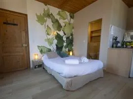 GEWURZTRAMINER - Studio au pied du vignoble - rénové récemment - parking gratuit