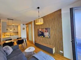Superior apartment s terasou 2 - Ski&Bike, Janské Lázně