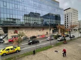 Propriete Nine - Palas, city center, business area