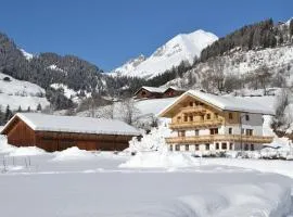 Apartment Santnerhof