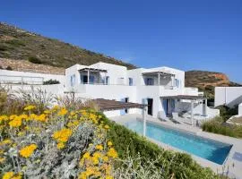 Ariti's Villas 1 - Naxos