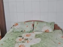Rohit Guest House