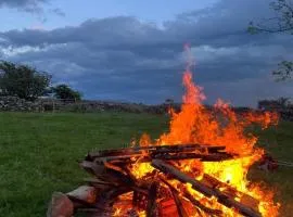 Hafod tŷ newydd wild camping