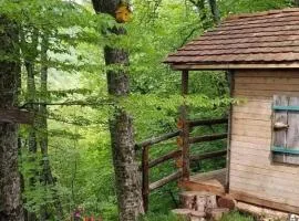Poet's Hut in The Mountains