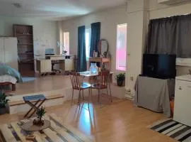 Lovely small apartment