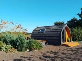 North Star Glamping