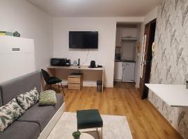 L'Eldorado du Léman, hotel in Annemasse