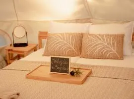 Szyszki z Lasu - Glamping
